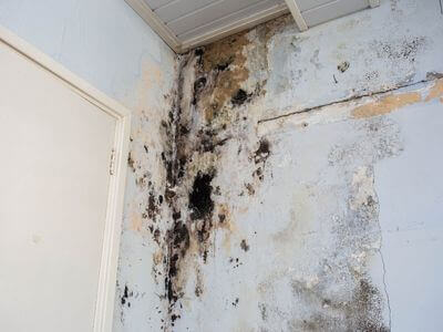 About Bringing Your Property Back to Life After Water Damage - water damage restoration experts in Cusseta, AL